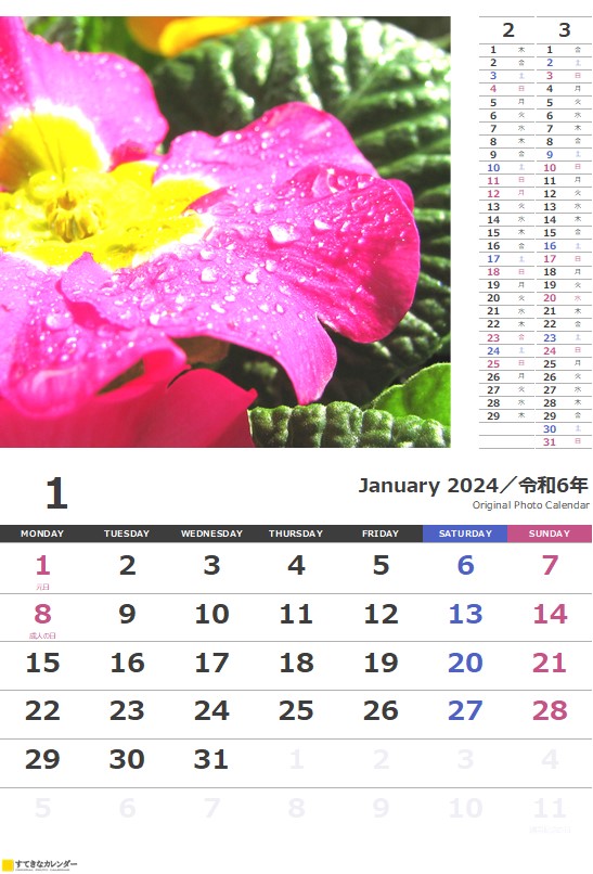  カレンダー 1ヶ月タイプ・縦(ST_00843) 無料ダウンロード