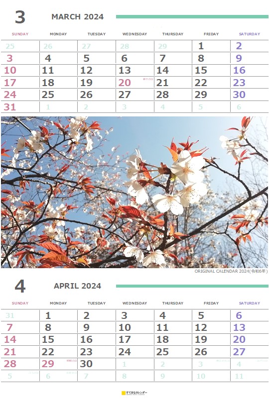  カレンダー 2ヶ月タイプ・縦(ST_00867) 無料ダウンロード
