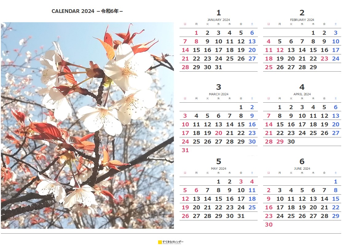  カレンダー 6ヶ月タイプ・横(ST_00743) 無料ダウンロード